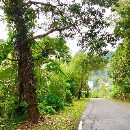Selesa Resort Homestay Janda Baik Exteriér fotografie